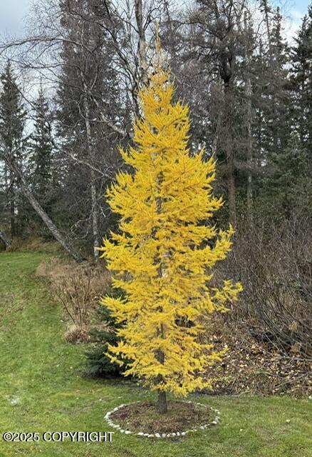 6251 Bubbling Brook Circle