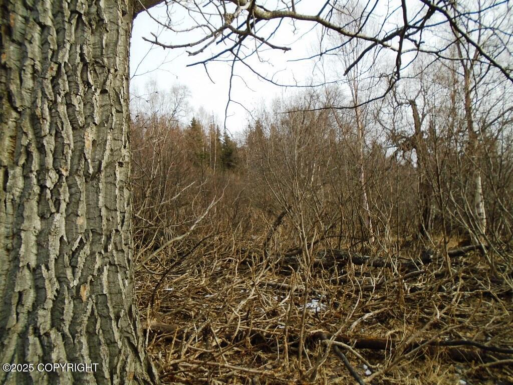 NHN Essex Park Drive