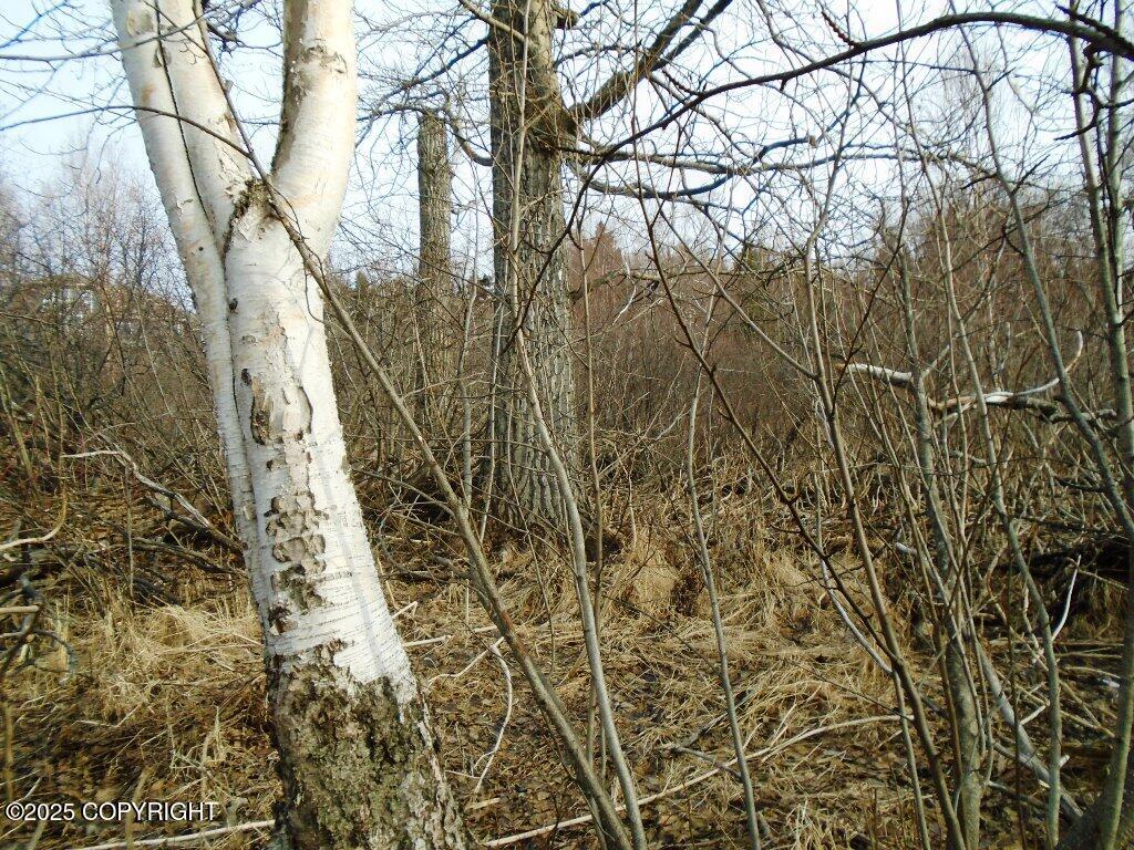 NHN Essex Park Drive