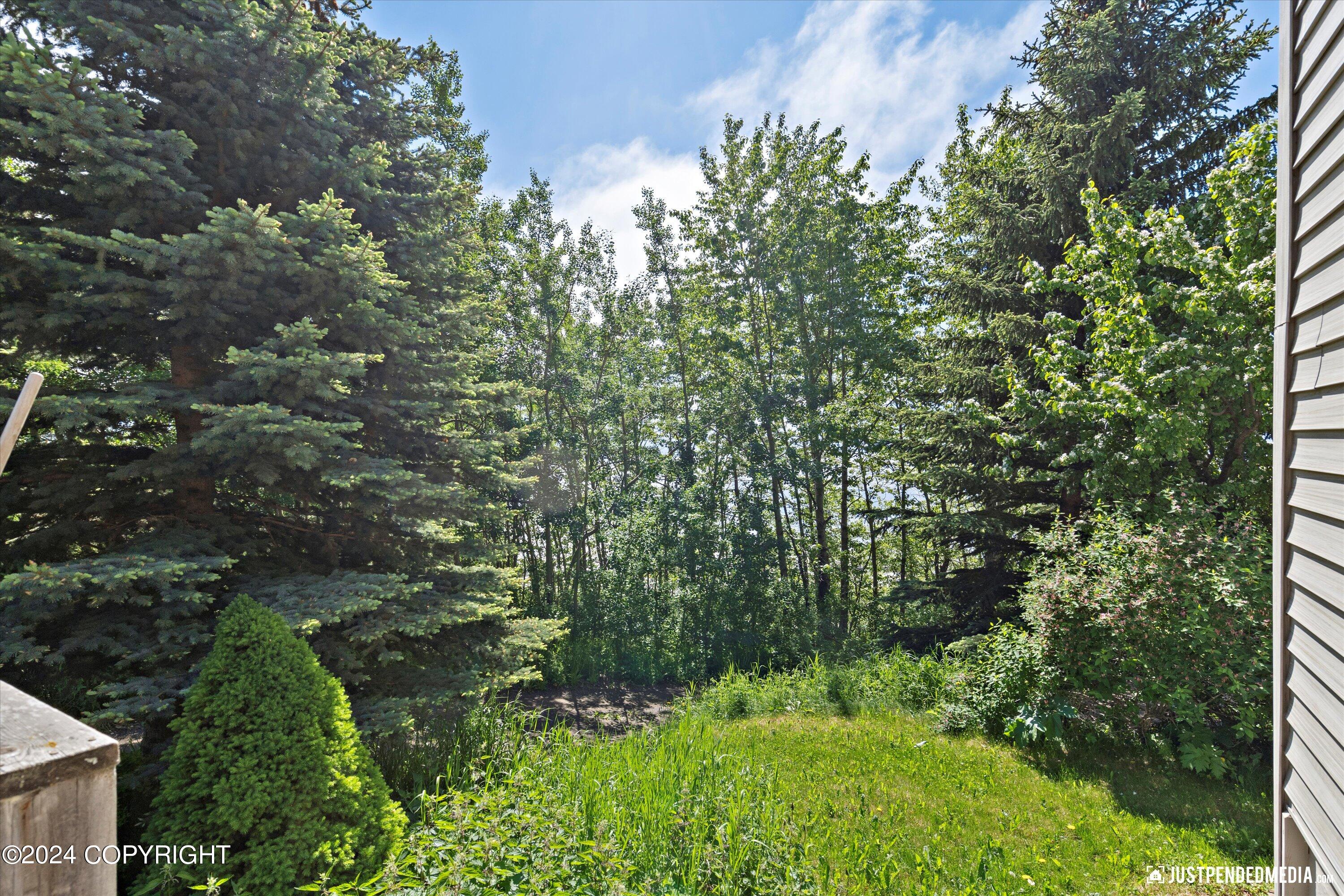 24153 Seward Highway