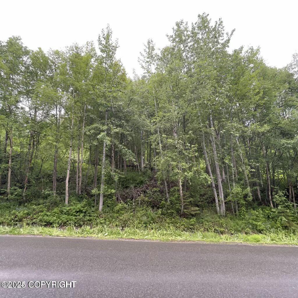 L 12 White Spruce Drive