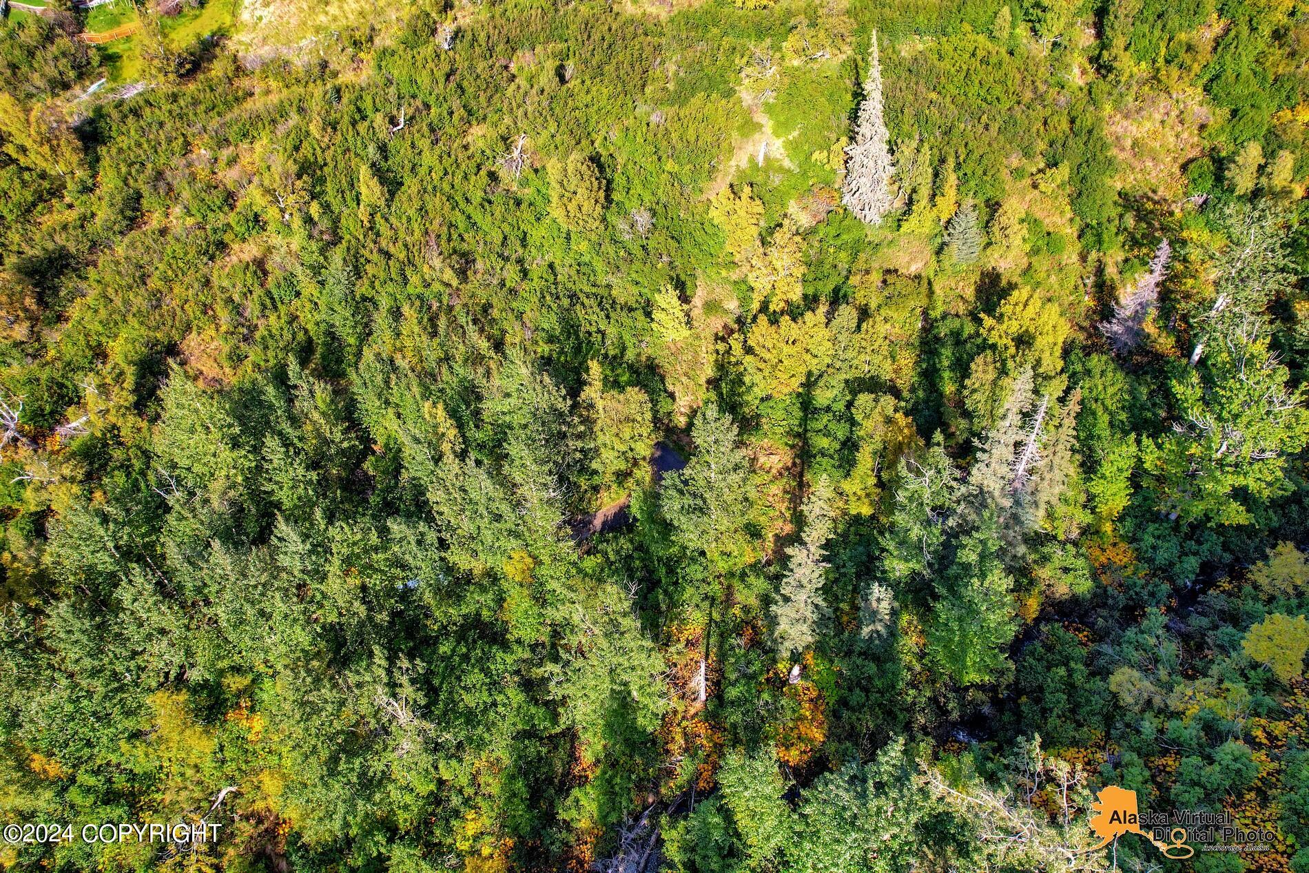 L21-22 Bulgaria Drive