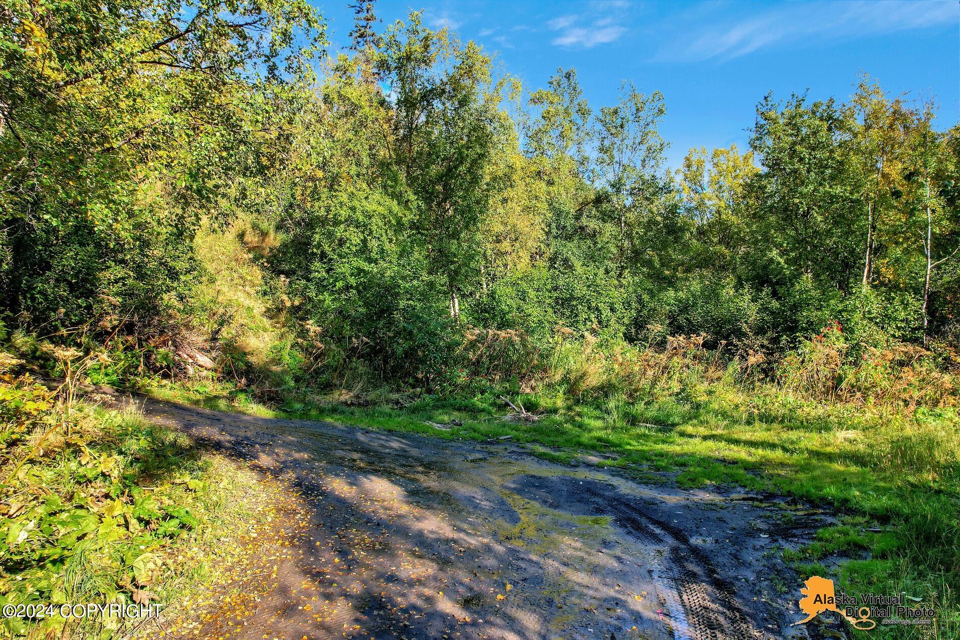 L21-22 Bulgaria Drive