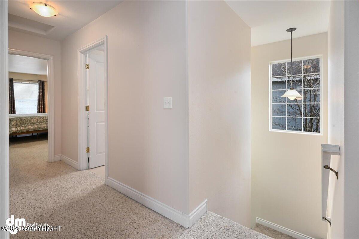 2414 Lusardi Point Circle