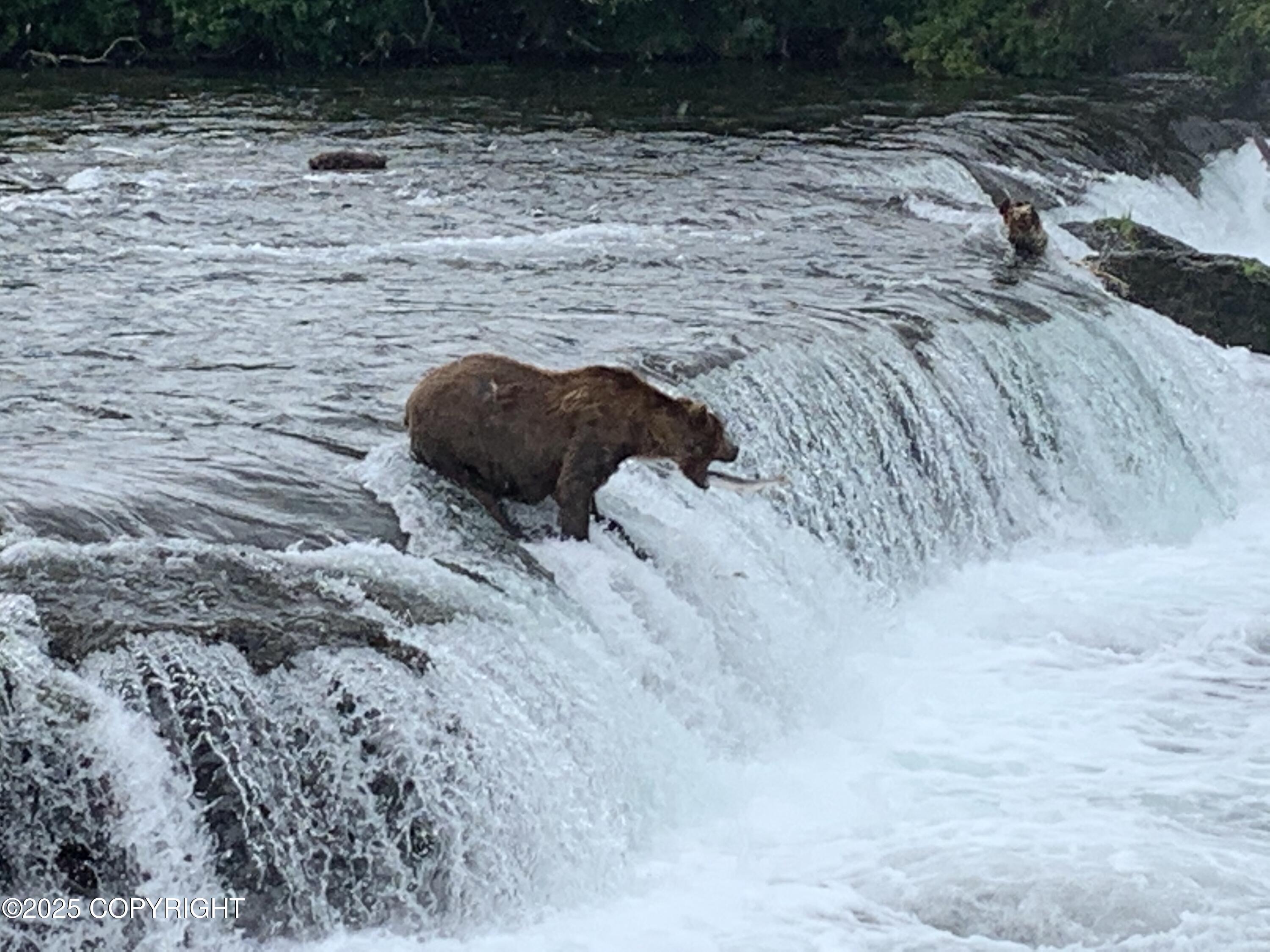 9624 Char Road