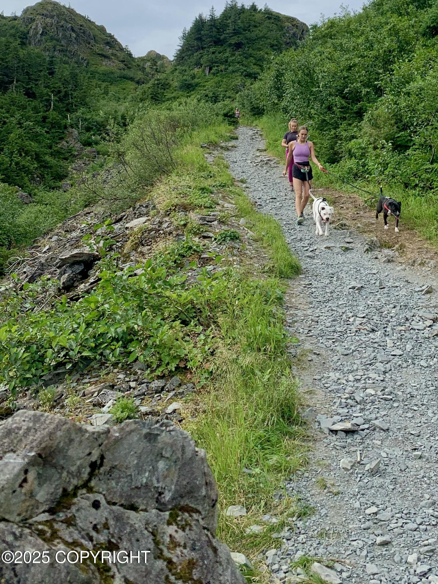 100 Kenai Street # 714 Unit: #714