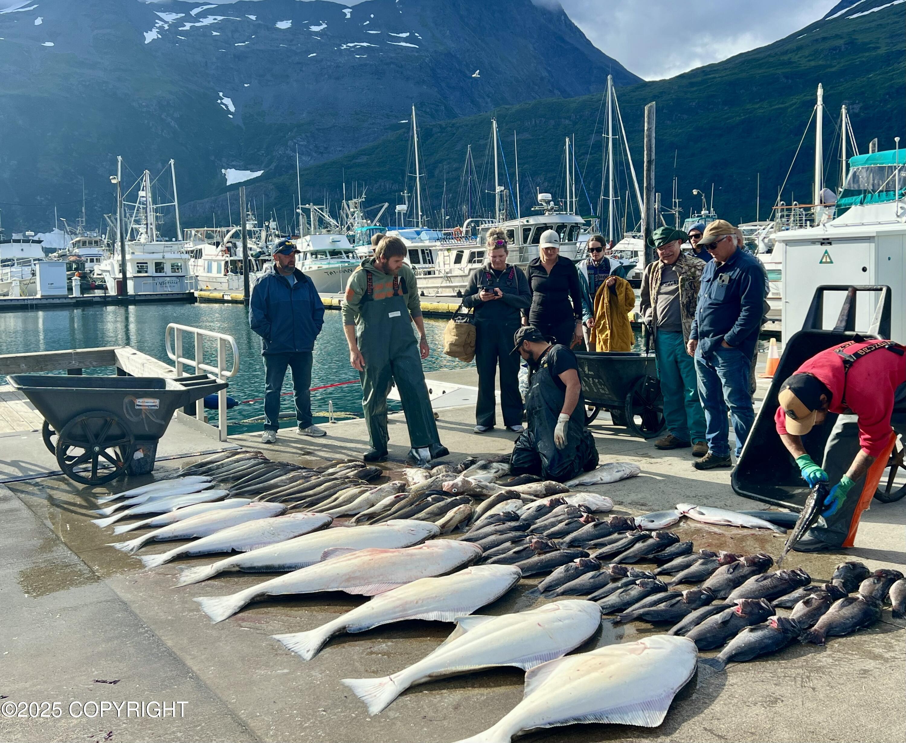 100 Kenai Street # 714 Unit: #714