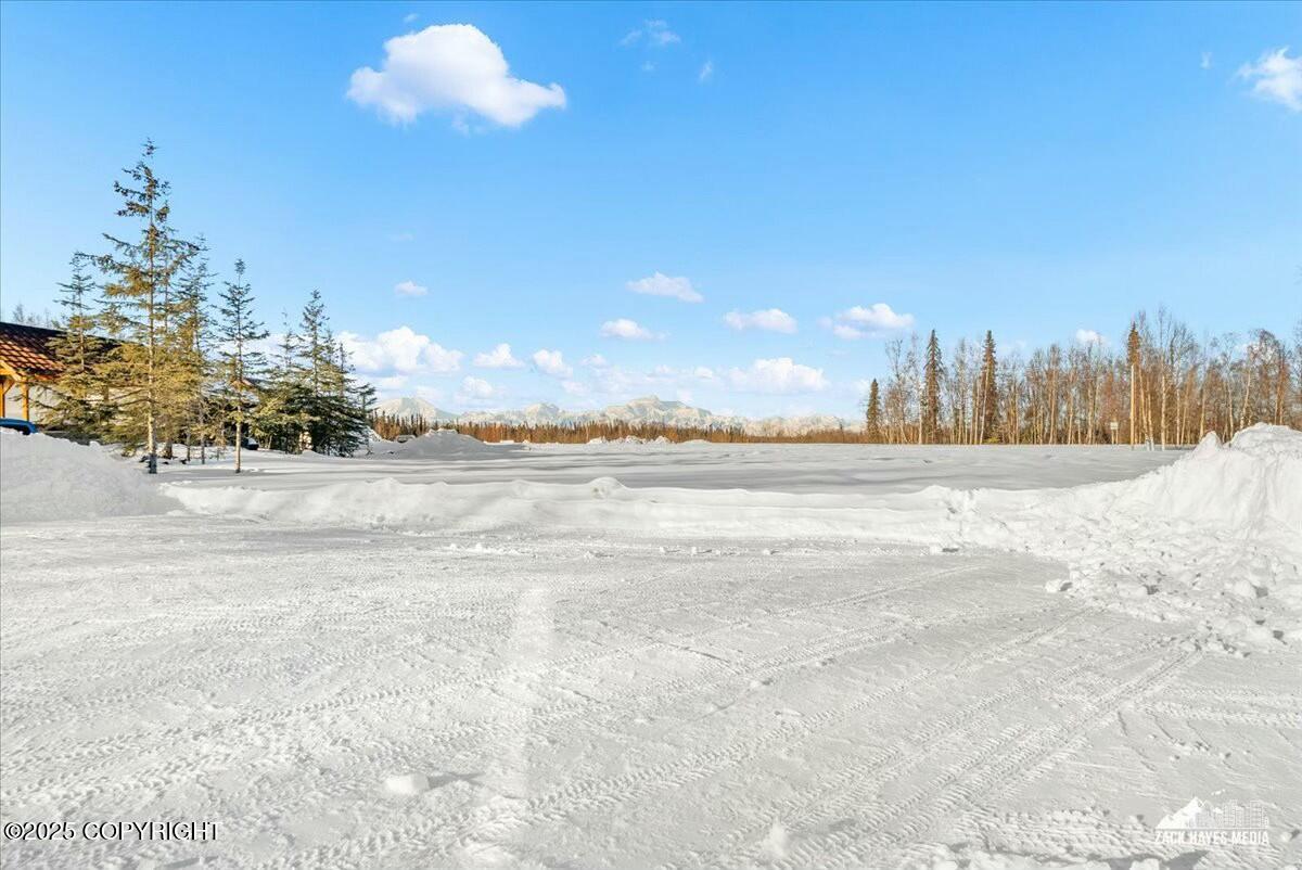 6080 Petersville Road