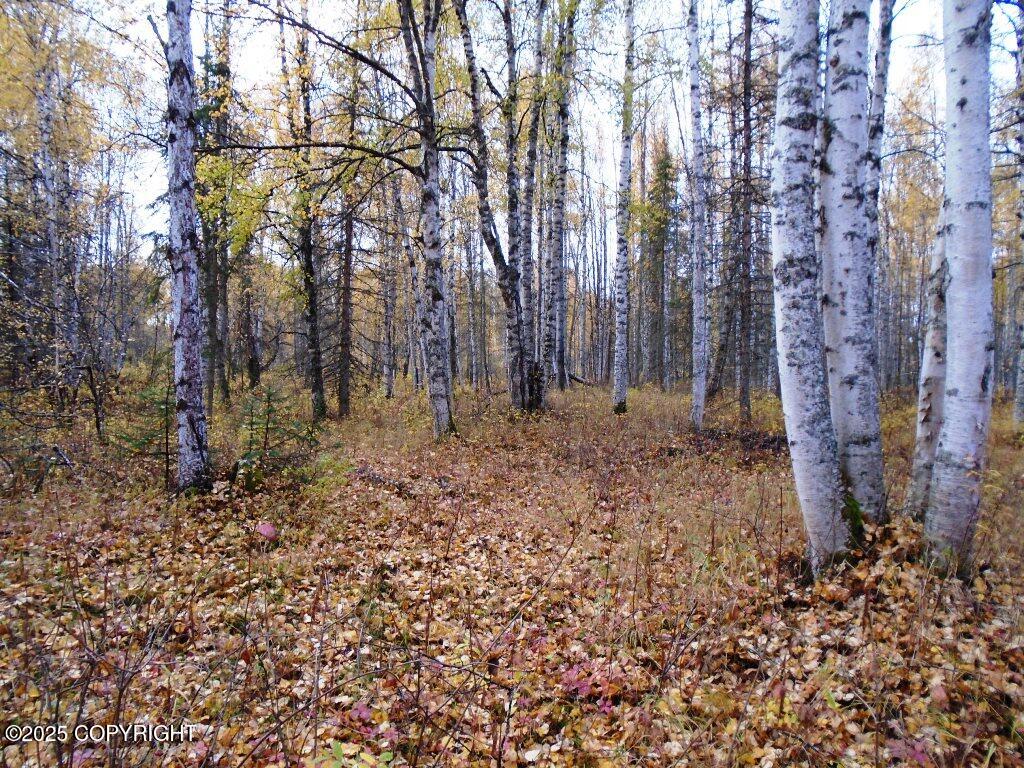 Tr A Mile 93 Parks Highway