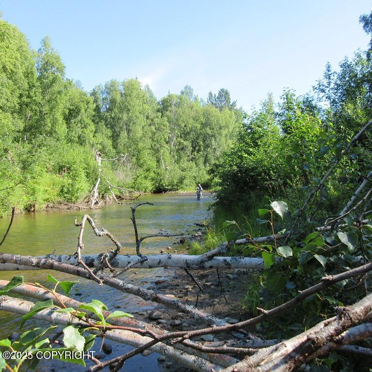 Tr A Mile 93 Parks Highway