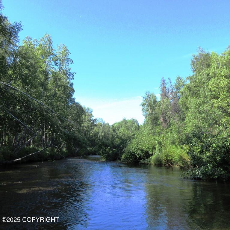 Tr D Mile 93 Parks Highway