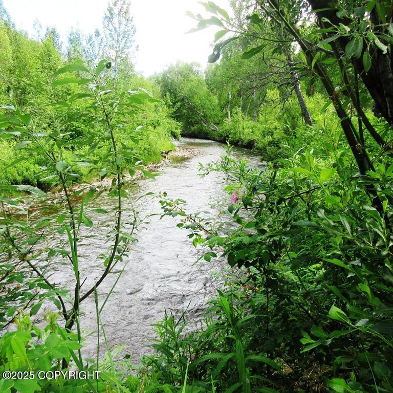 Tr D Mile 93 Parks Highway