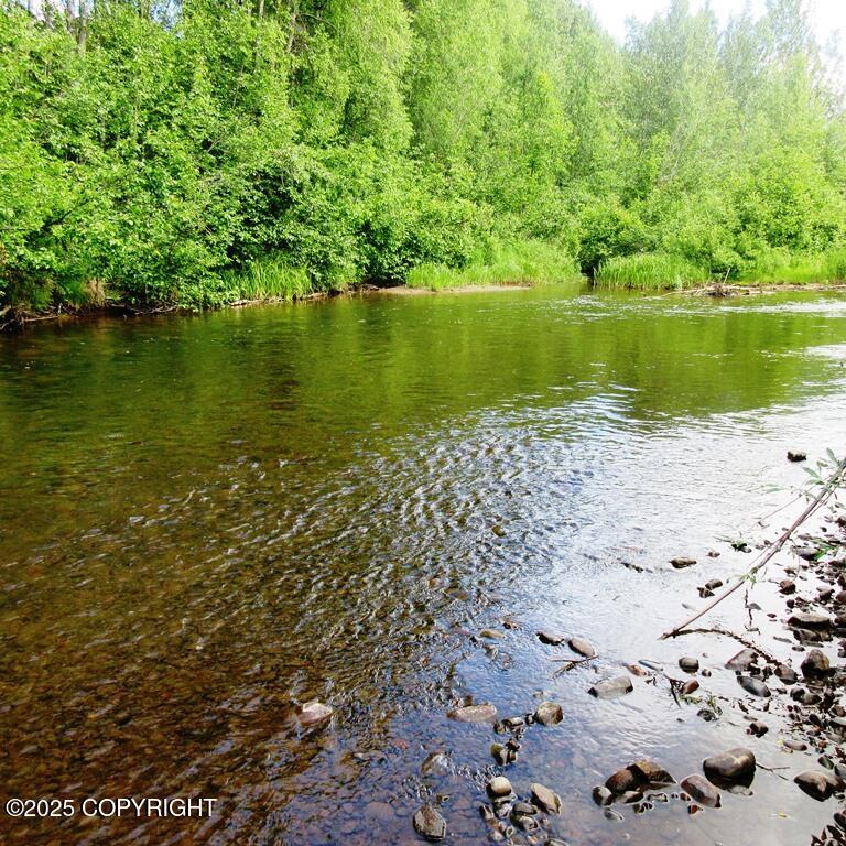 Tr D Mile 93 Parks Highway