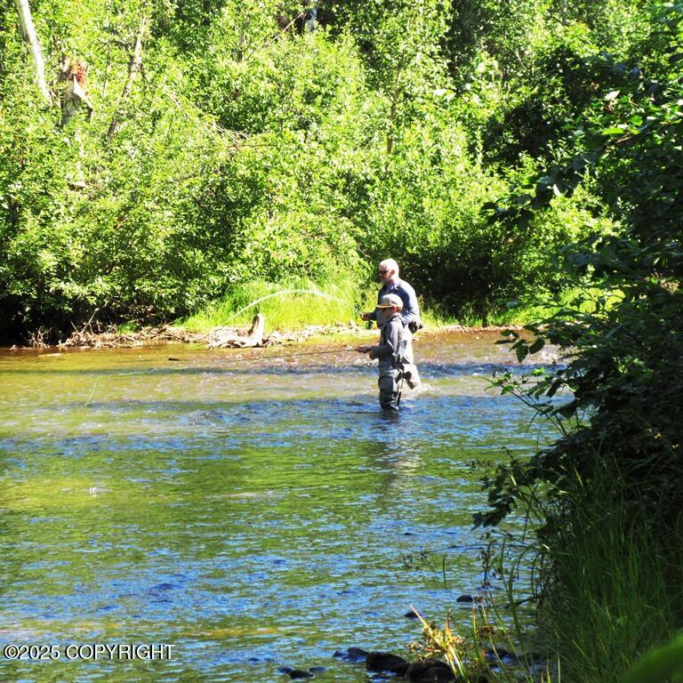 Tr D Mile 93 Parks Highway