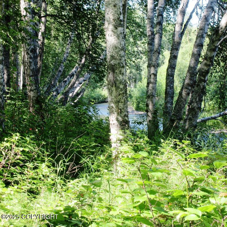 Tr D Mile 93 Parks Highway