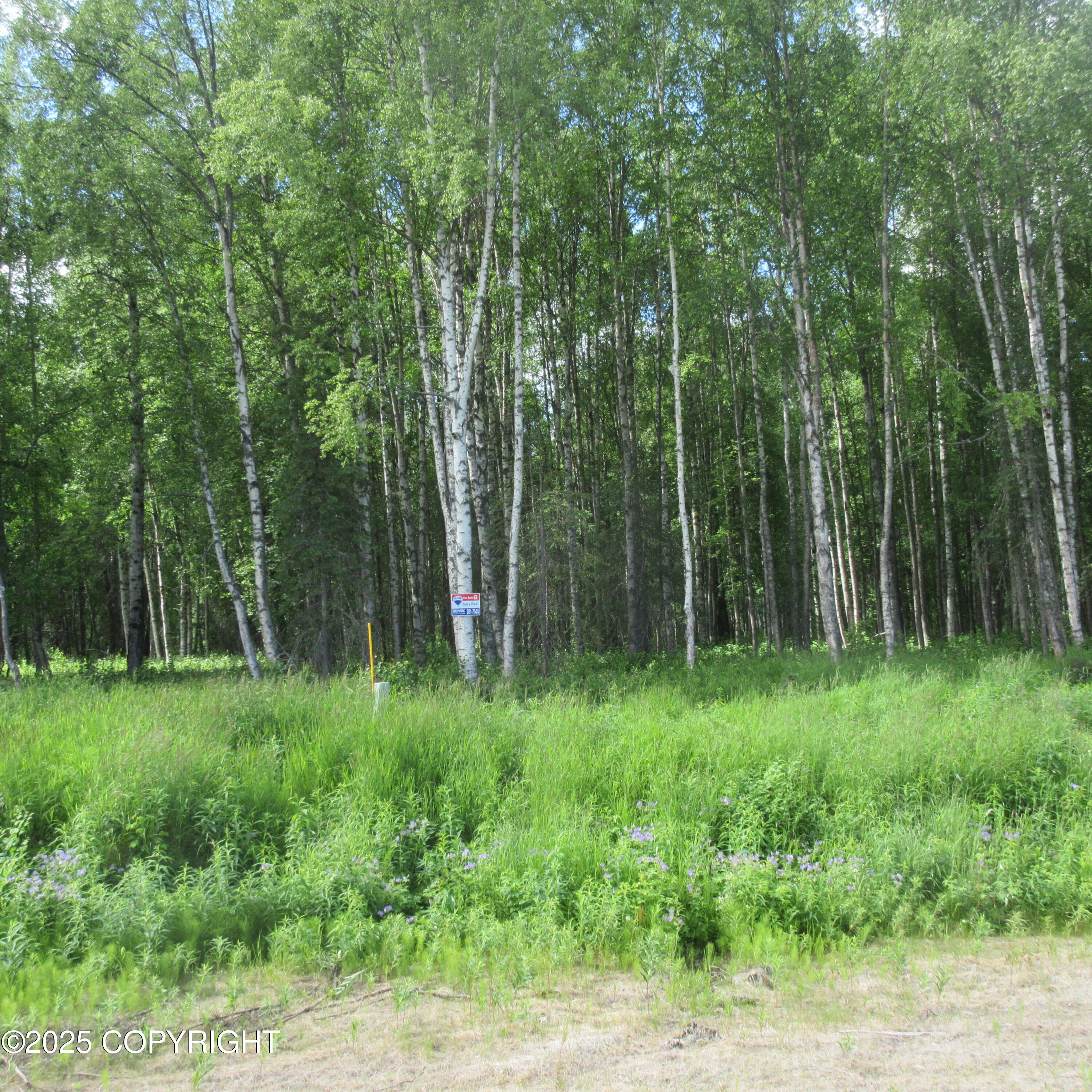 Tr D Mile 93 Parks Highway