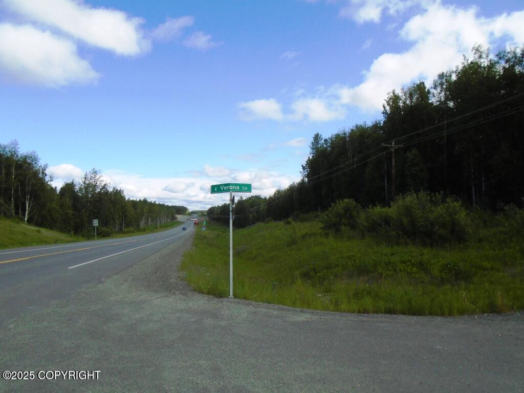 Tr E Mile 93 Parks Highway