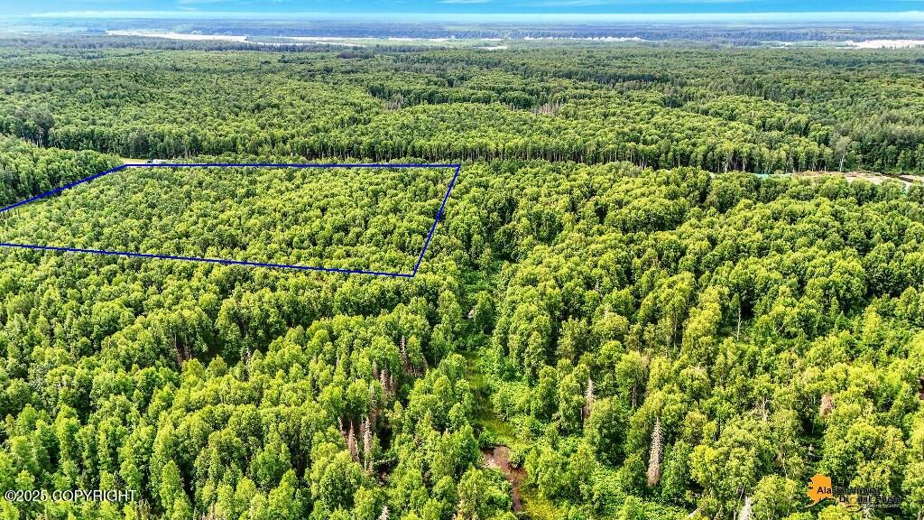 Tr F Mile 93 Parks Highway