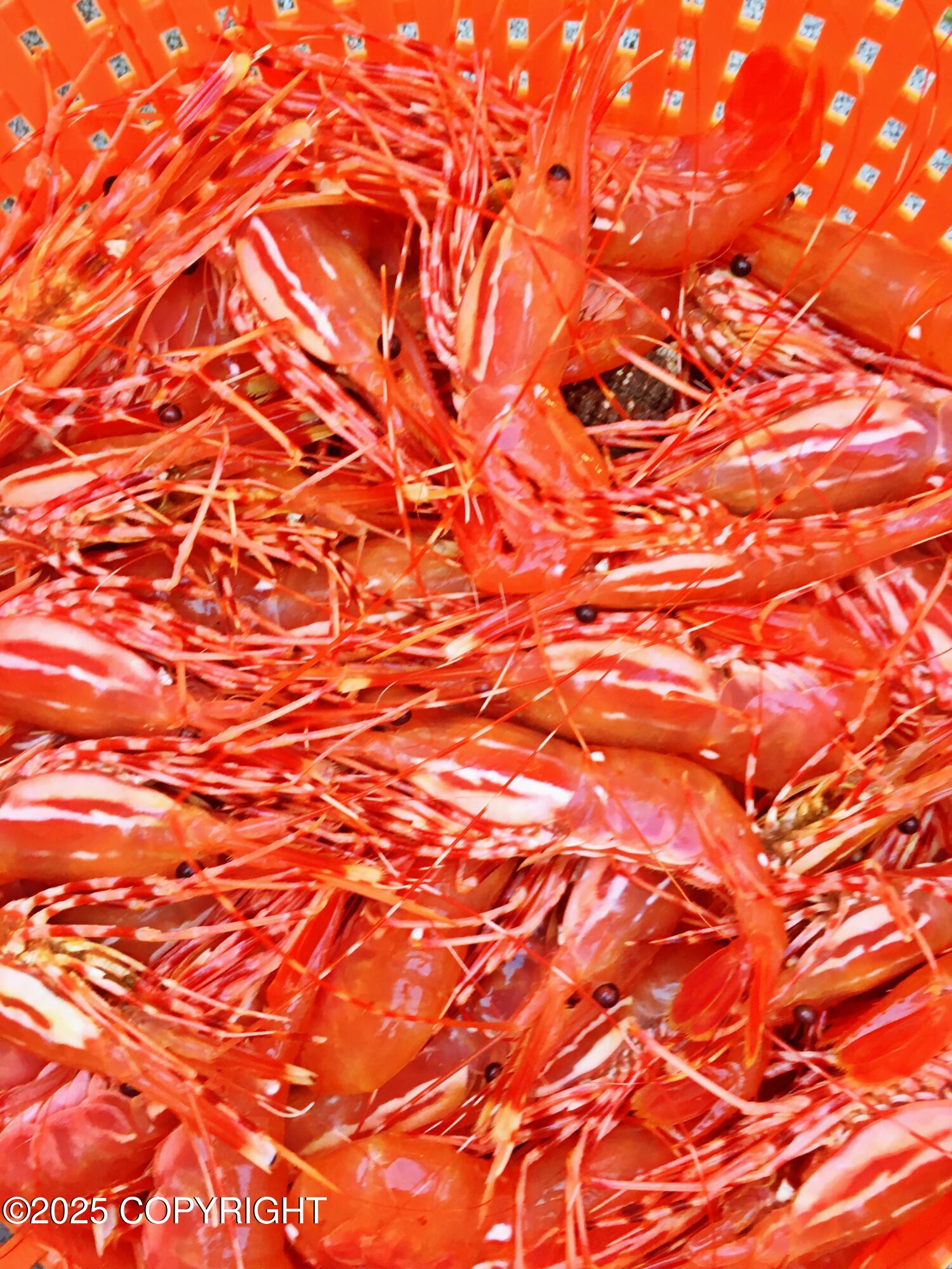 100 Kenai Street # 308 Unit: #308