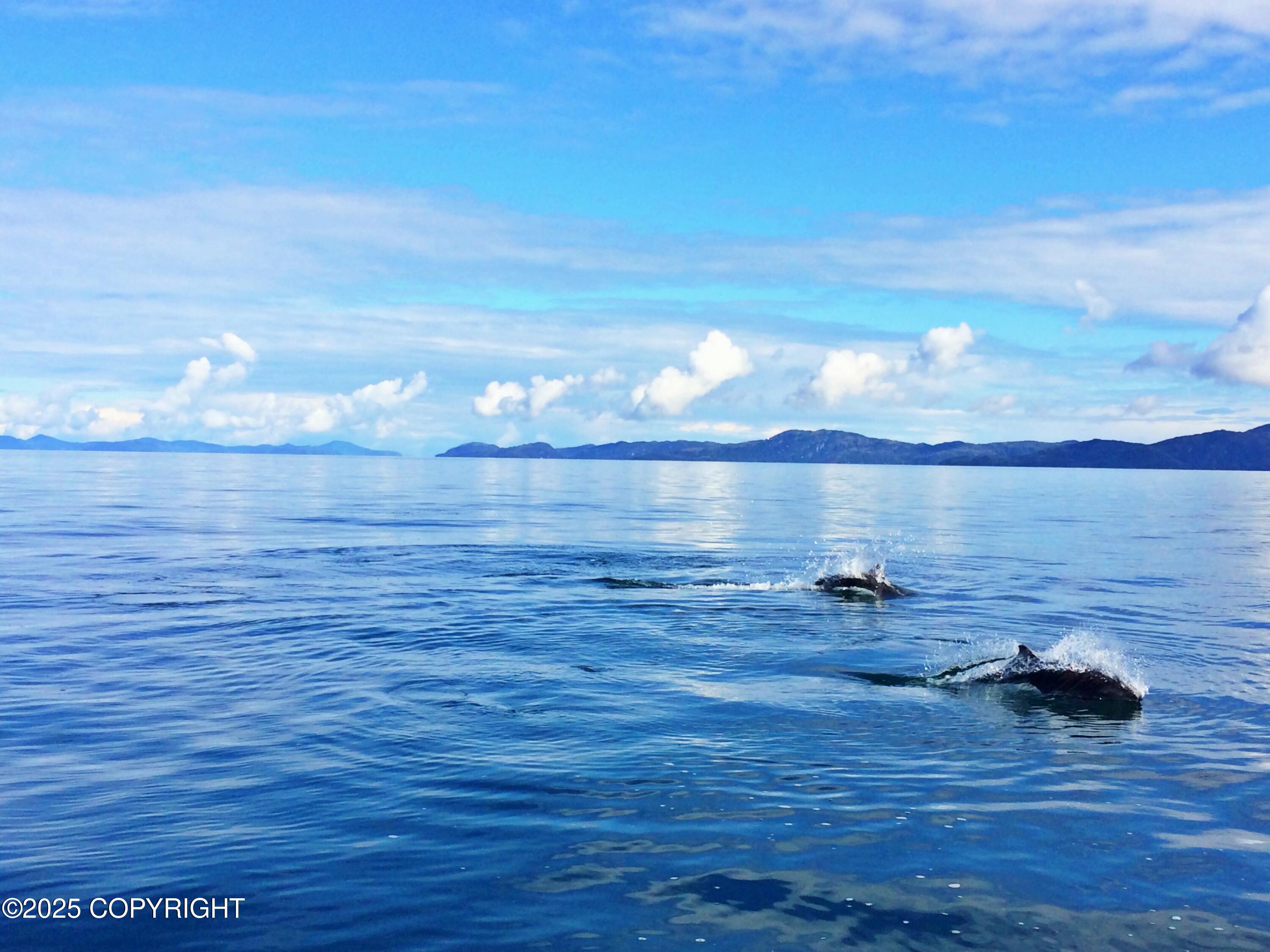 100 Kenai Street # 308 Unit: #308