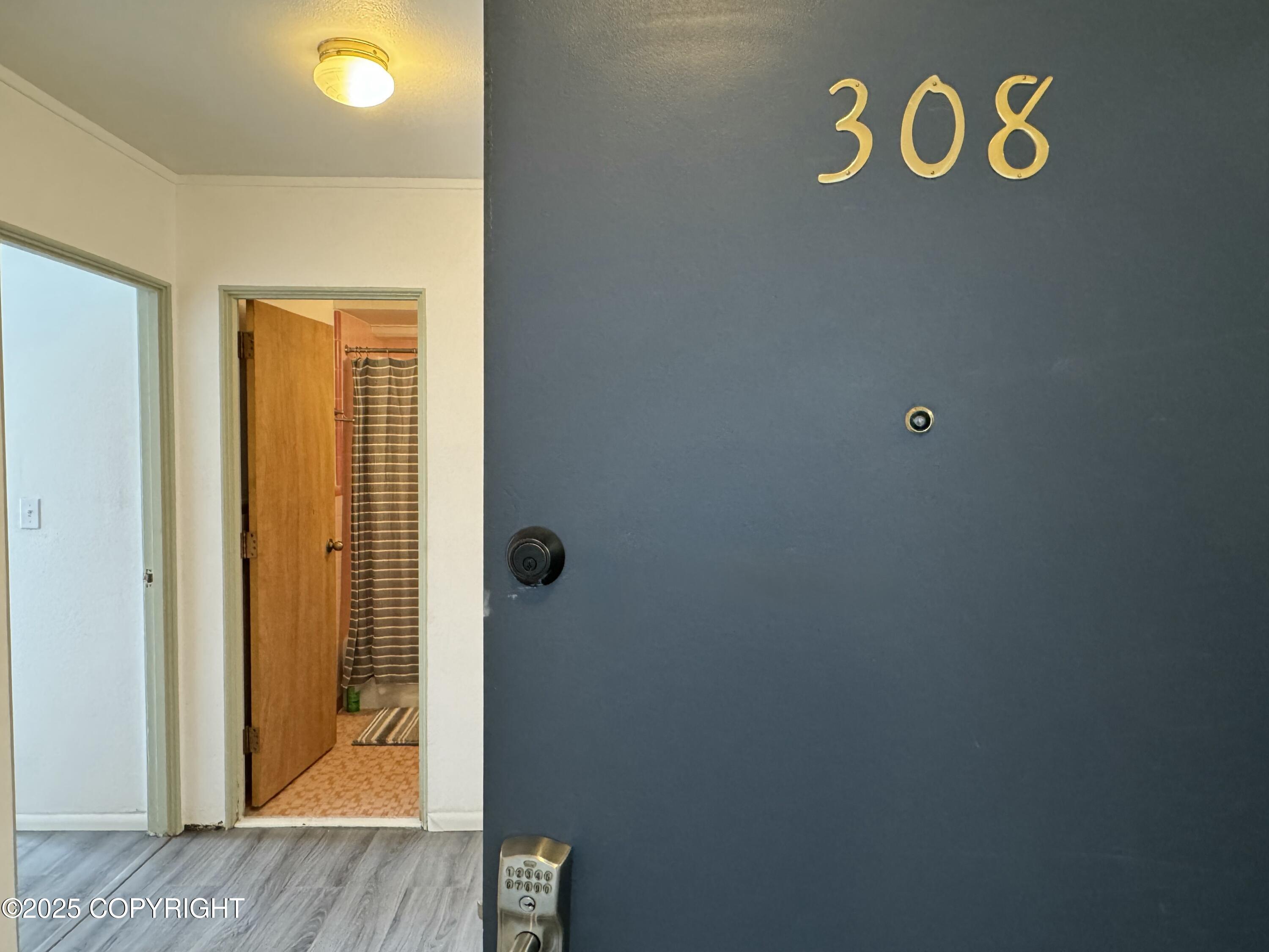 100 Kenai Street # 308 Unit: #308