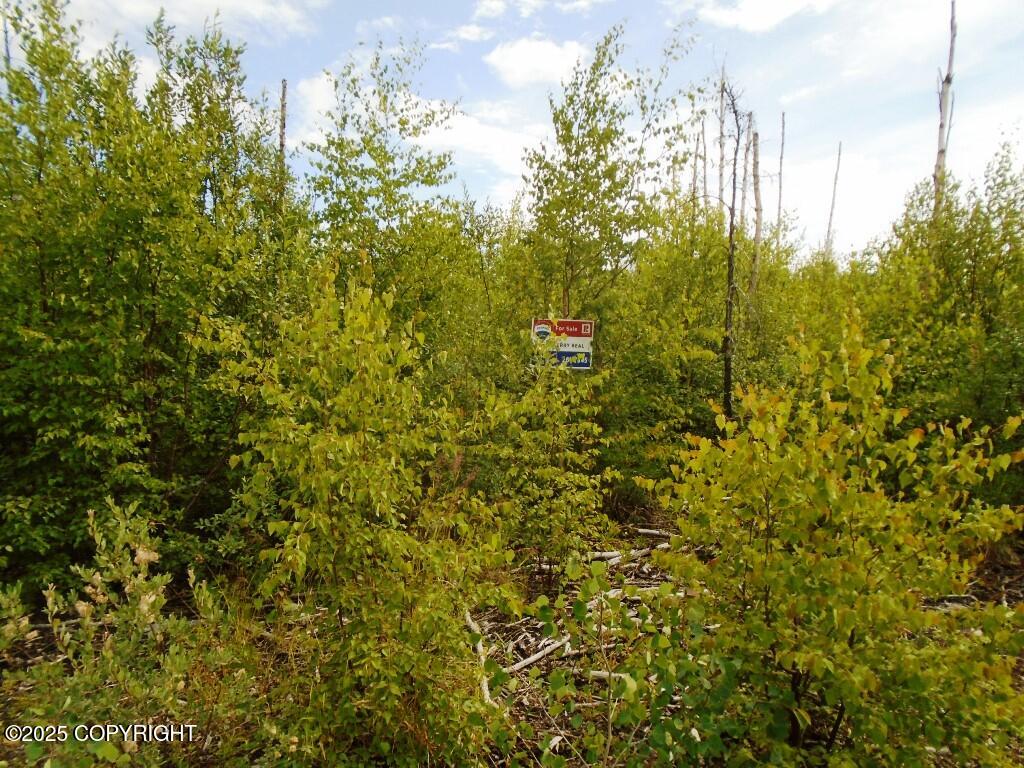 Mile 72 Parks Highway