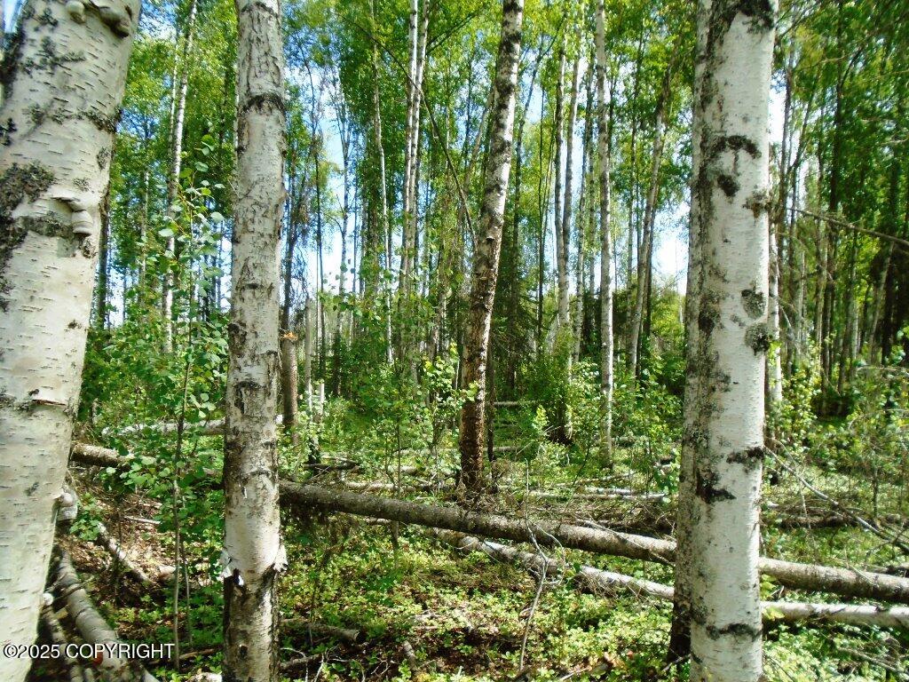 Mile 72 Parks Highway