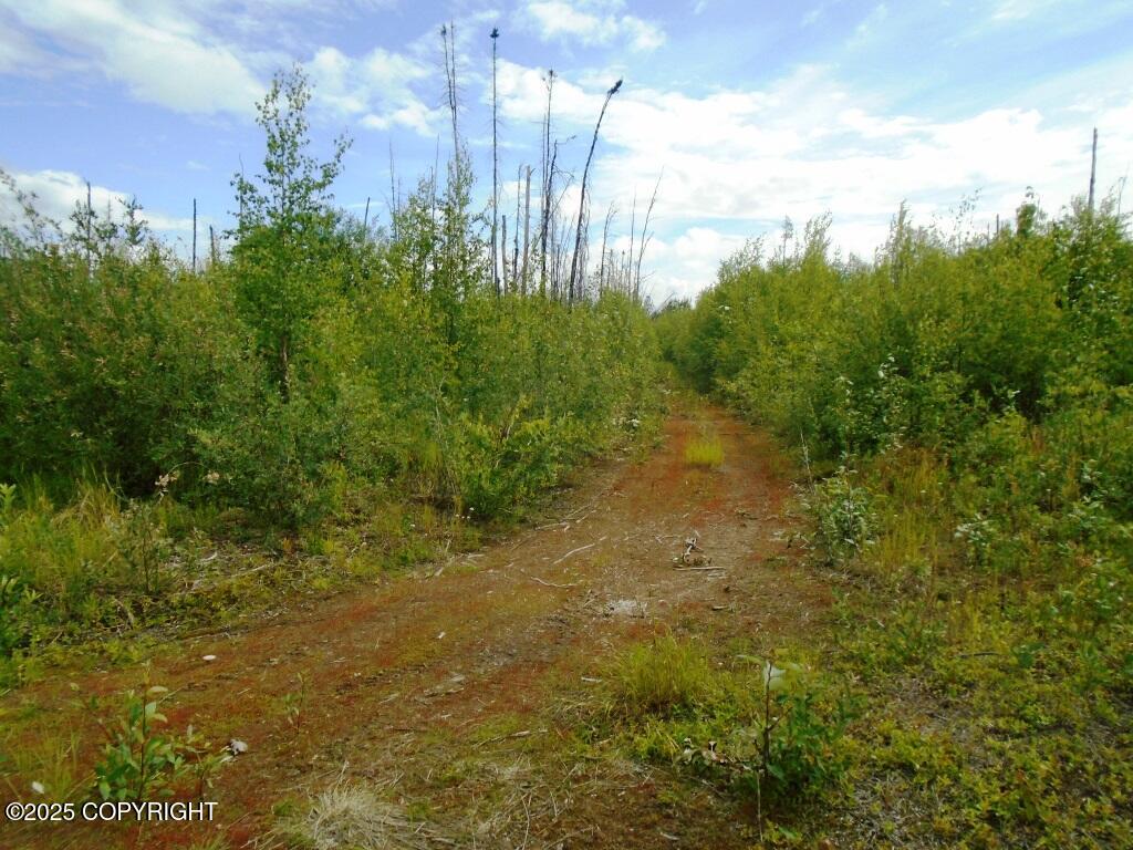 Mile 72 Parks Highway