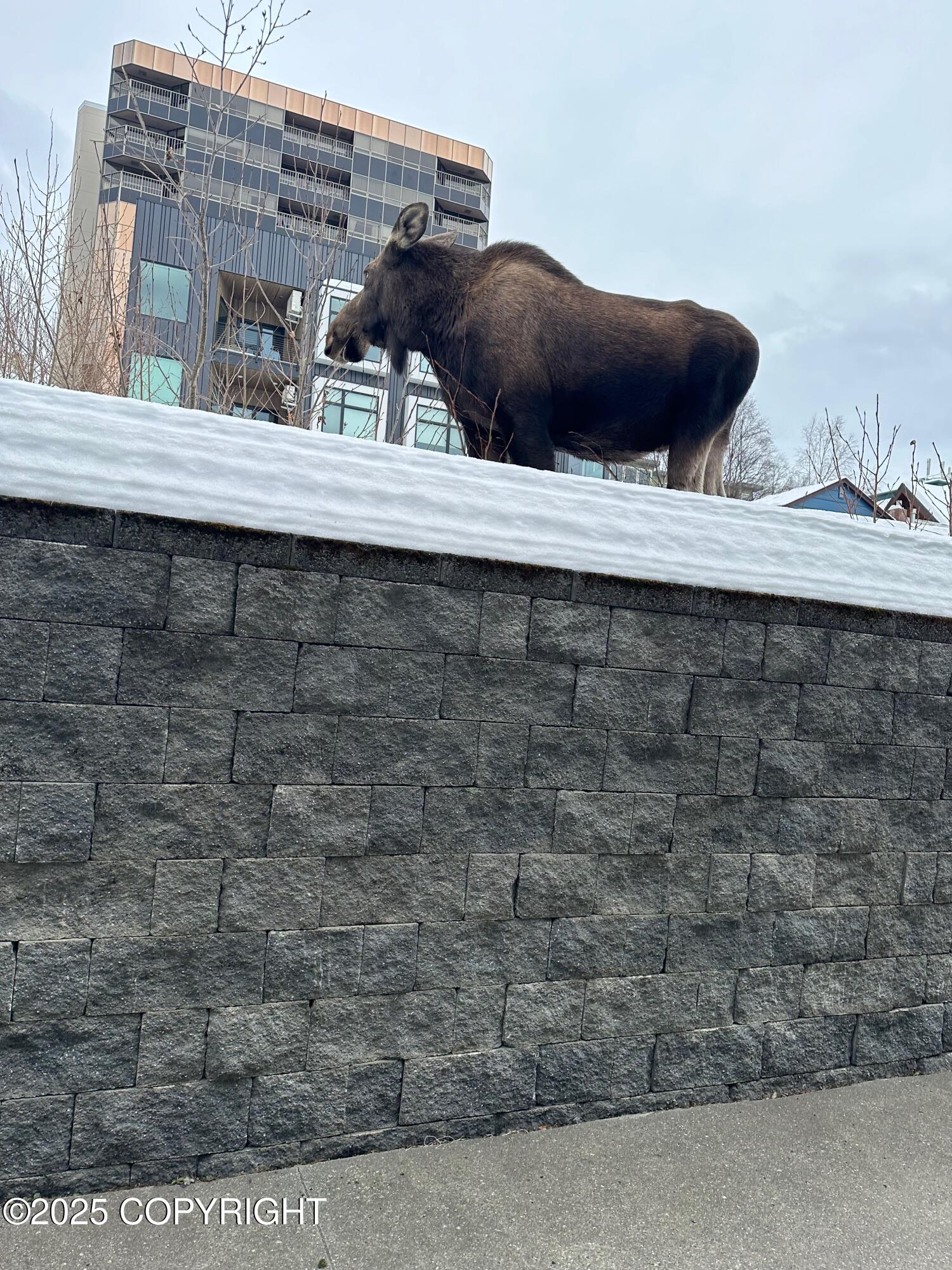 500 M Street # 103