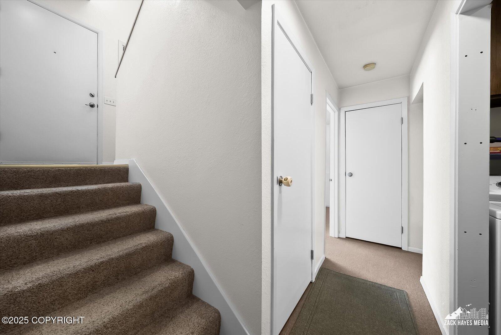 4520 Macalister Drive