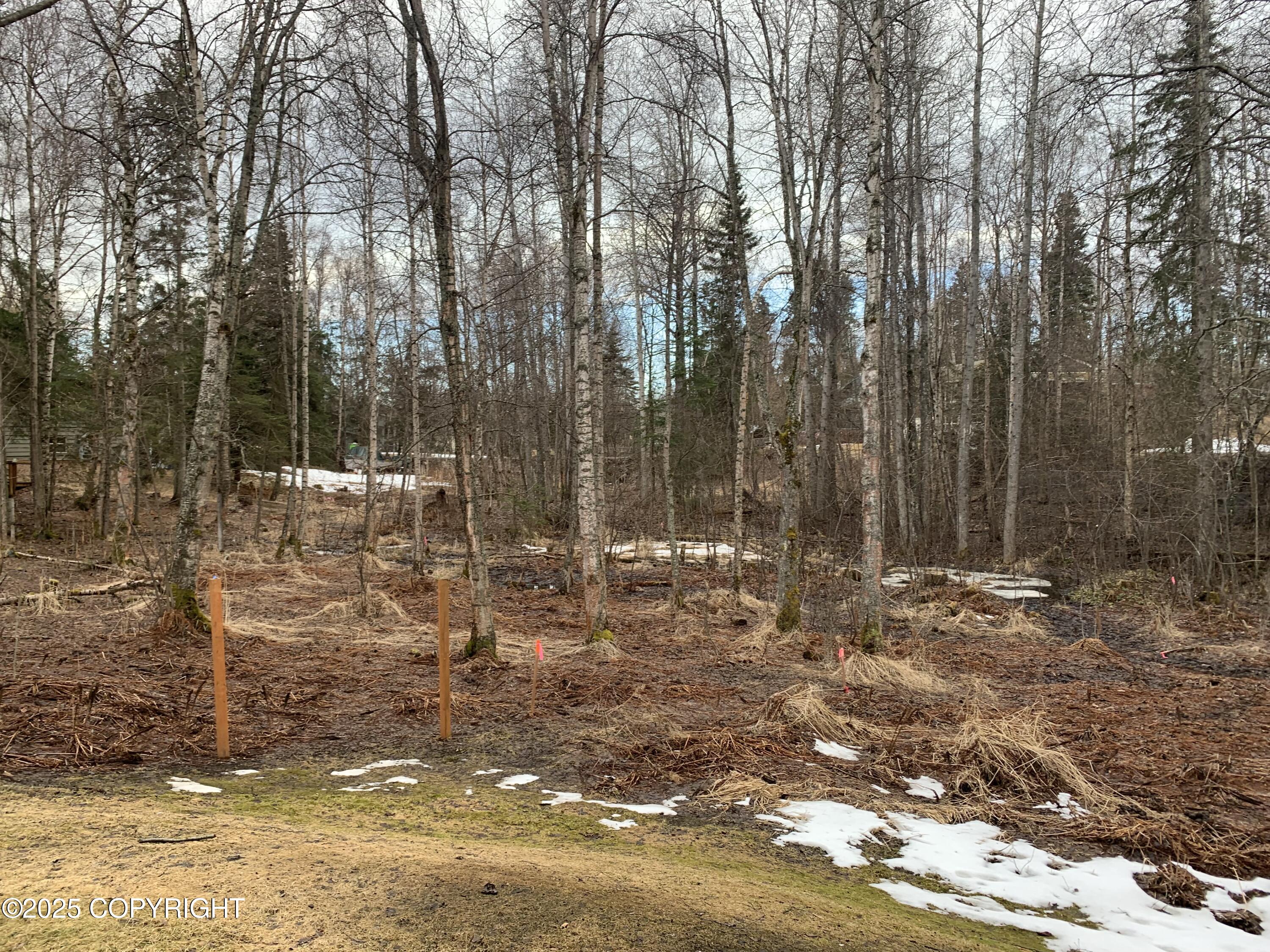 2422 Telequana Drive