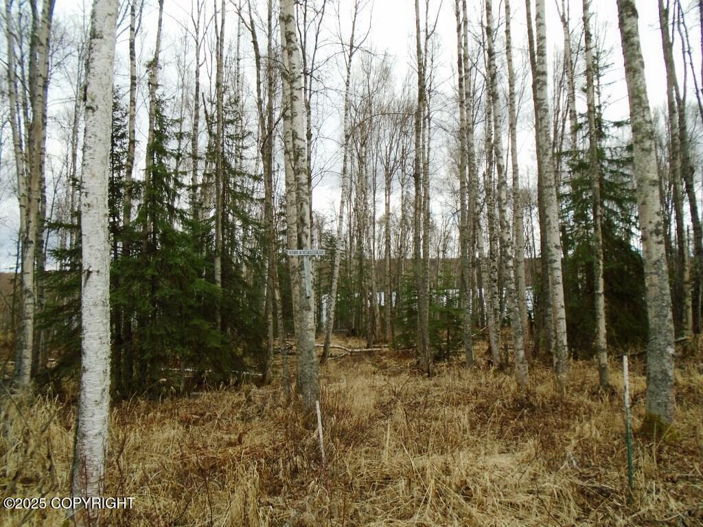 2665 N ANTHONY Drive