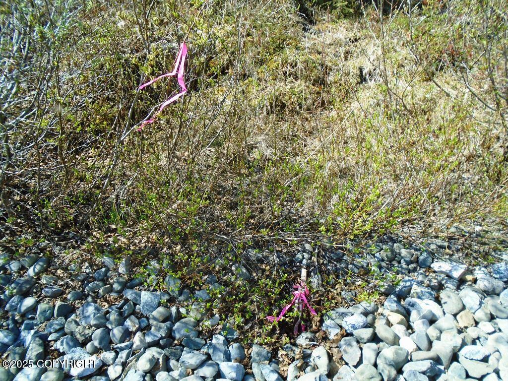 Lot 1 West River Drive