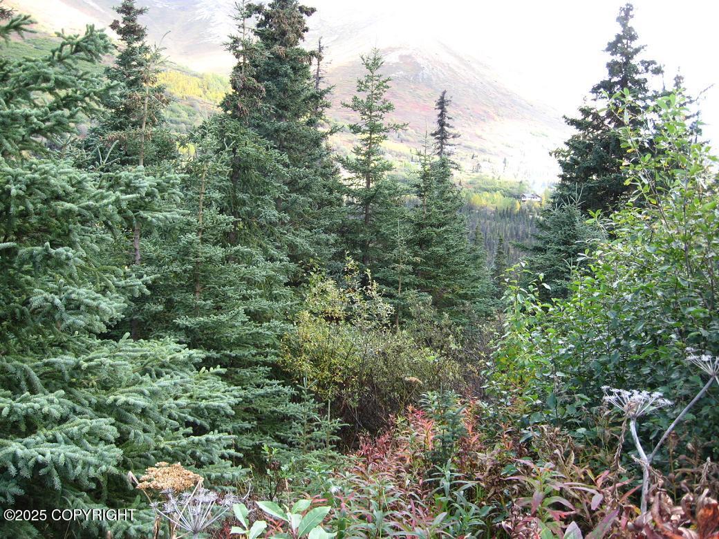 Lot 1 West River Drive