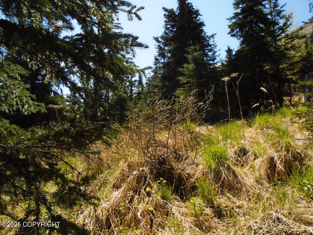 Lot 3 West River Drive