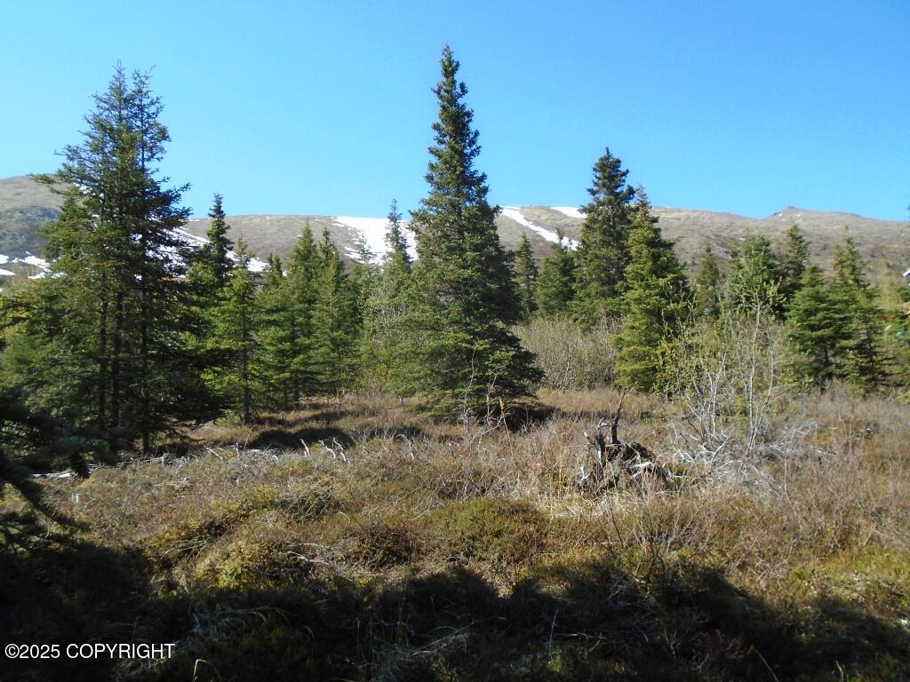 Lot 2 West River Drive