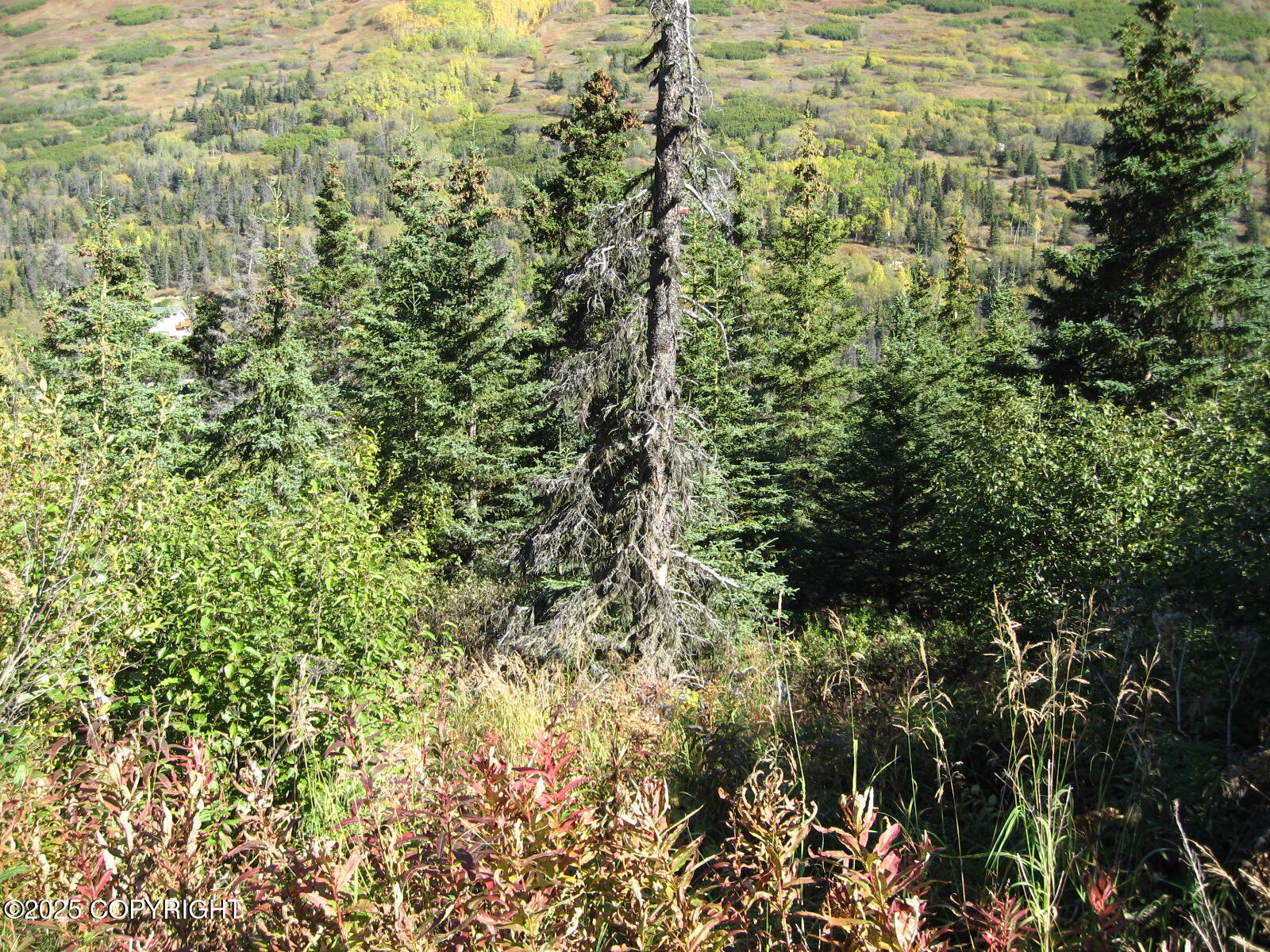 Lot 2 West River Drive