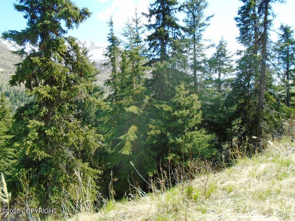 Lot 2 West River Drive