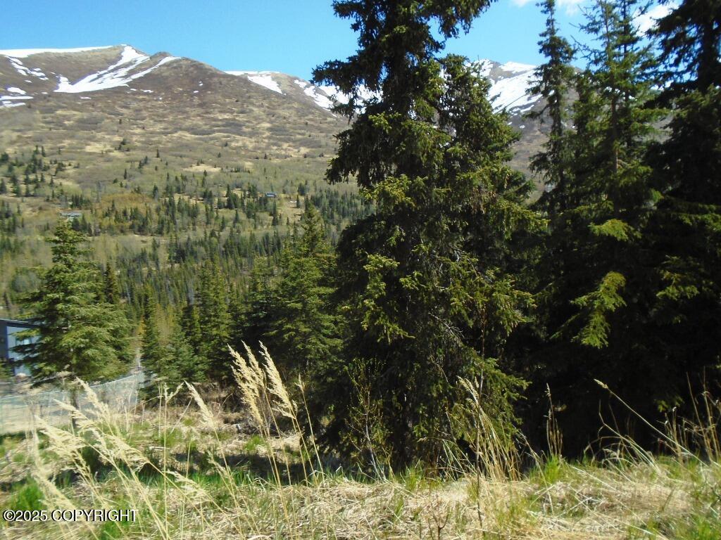 Lot 2 West River Drive