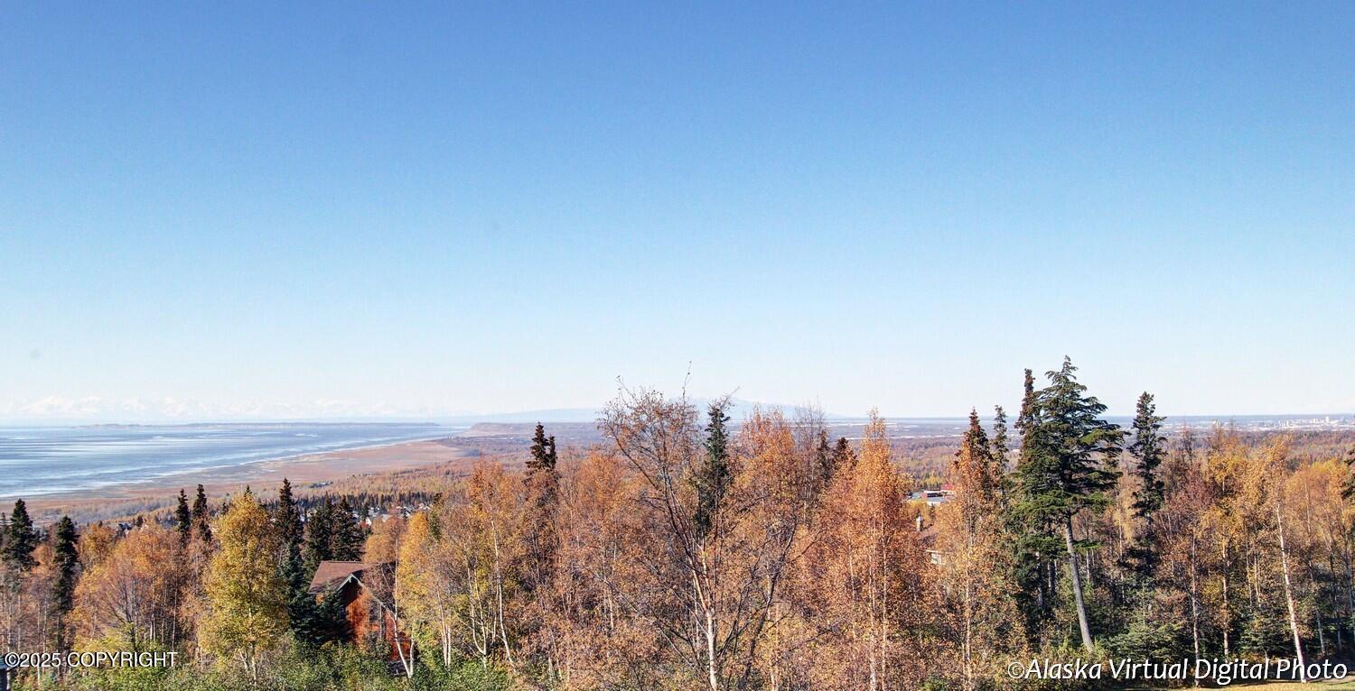 16424 Southcliff Circle