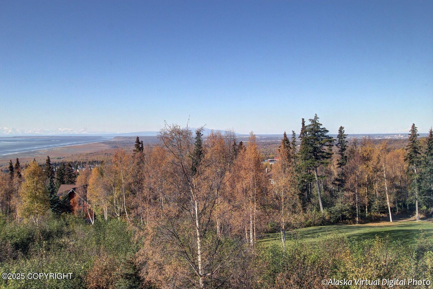 16424 Southcliff Circle