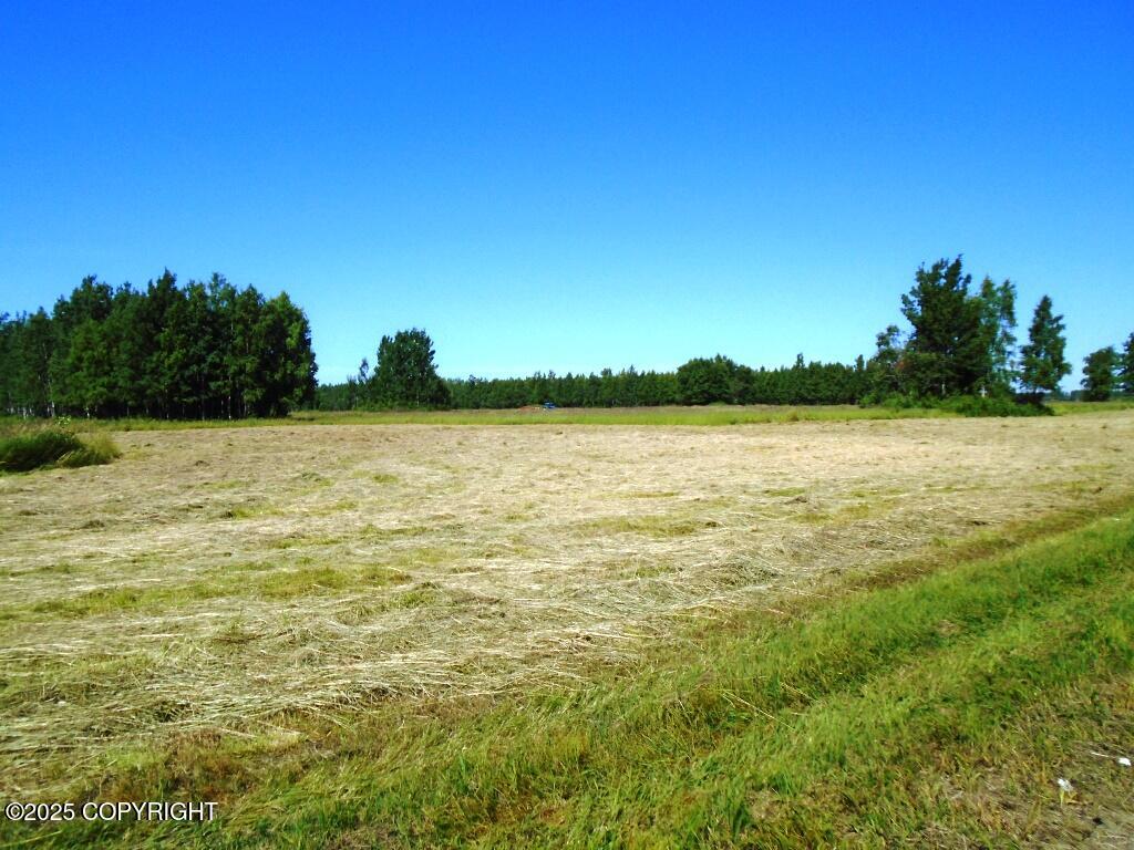 15068 S Brown Swiss Road