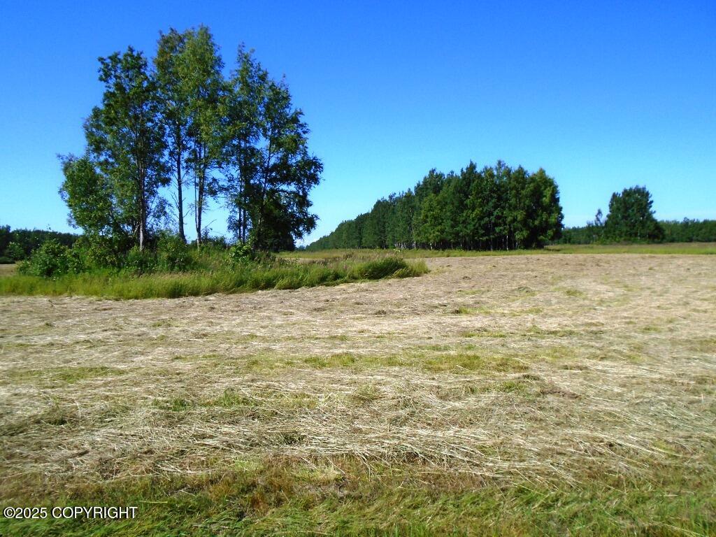 15068 S Brown Swiss Road