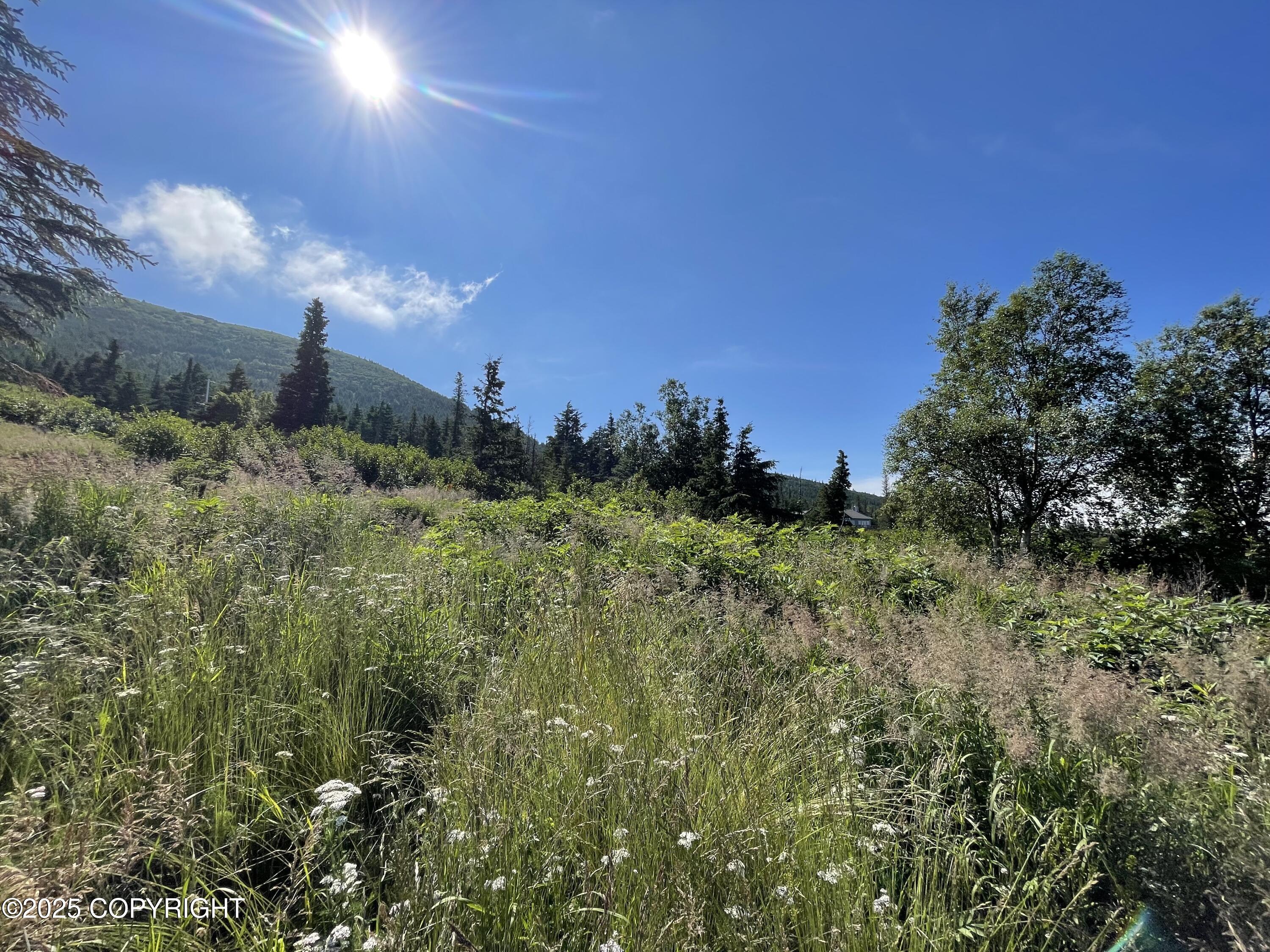 L14A B10H Harwood Circle