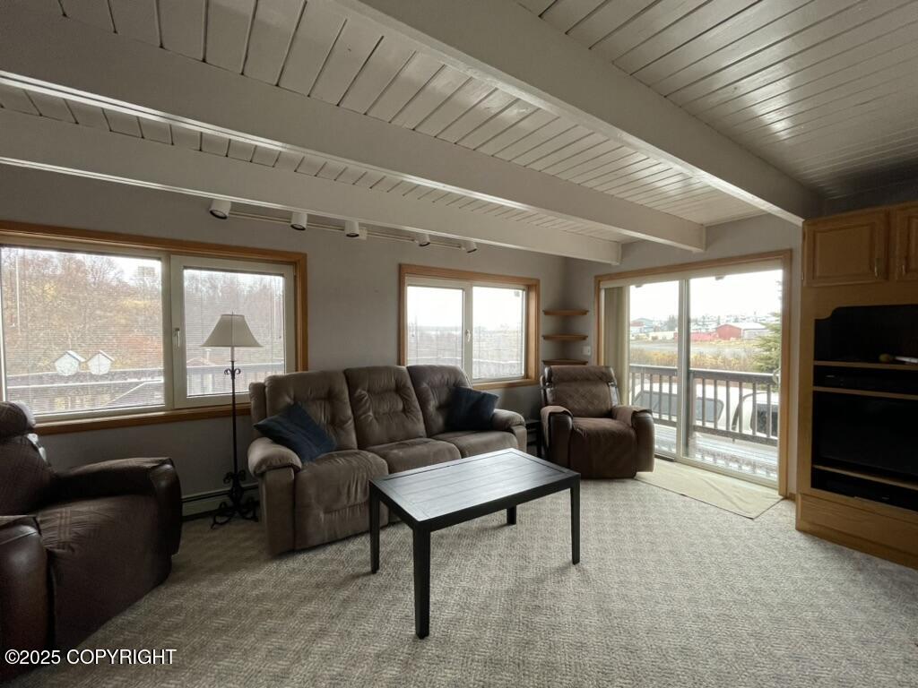 3239 Alaska Peninsula Highway