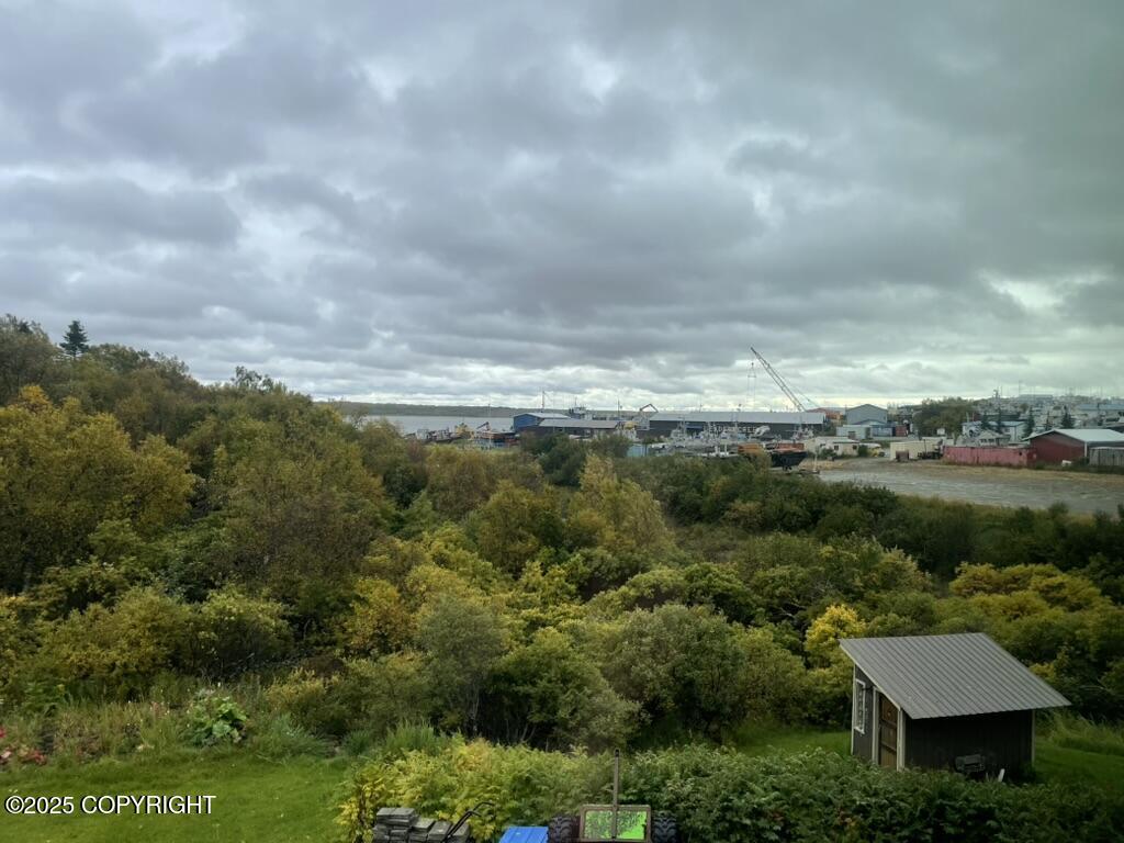 3239 Alaska Peninsula Highway