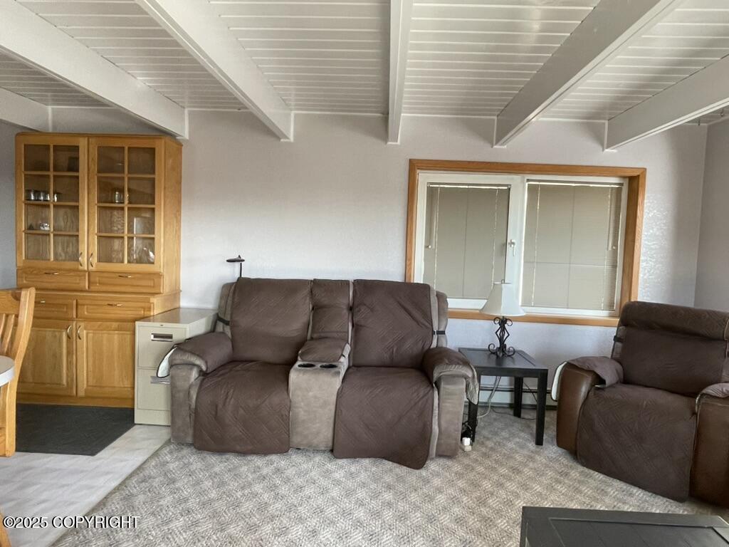 3239 Alaska Peninsula Highway