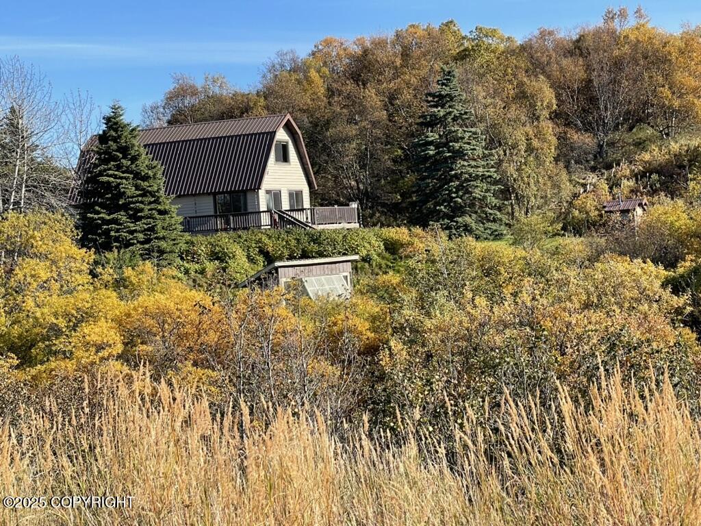 3239 Alaska Peninsula Highway