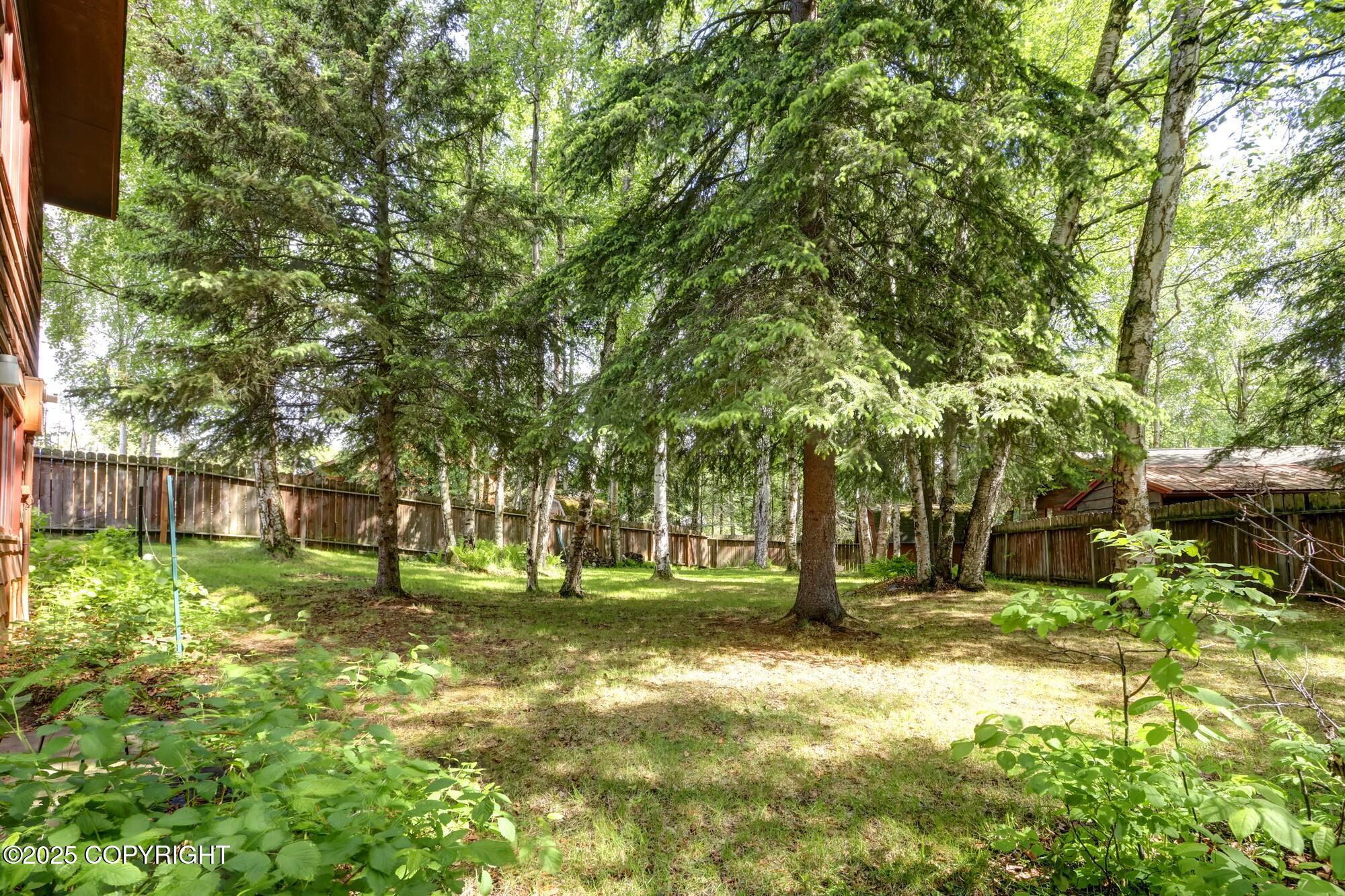 12921 Silver Spruce Drive