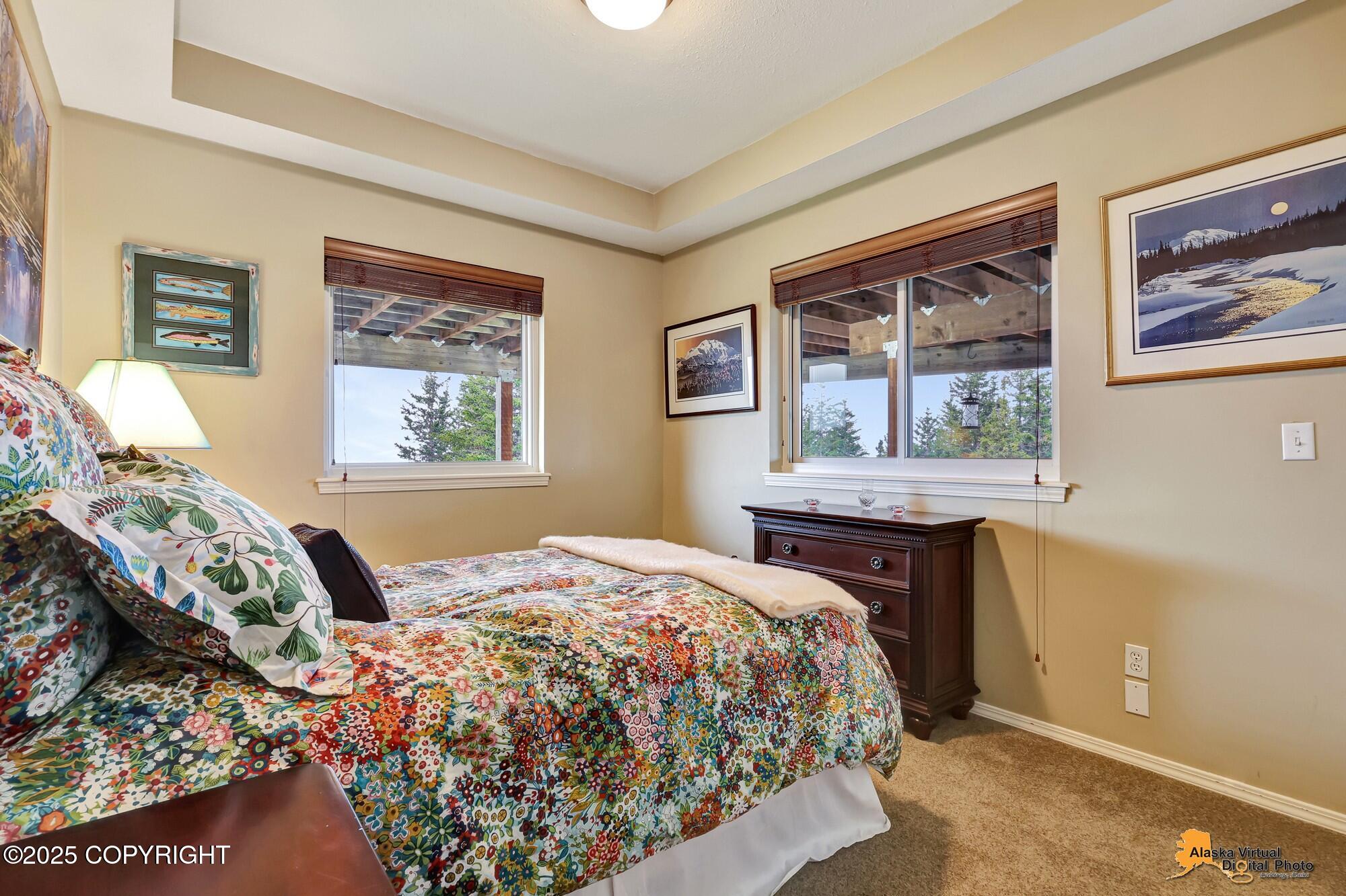 16971 Mount McKinley View Drive